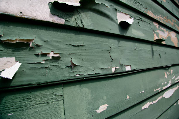 Best Garage Cleanout  in Rocky River, OH